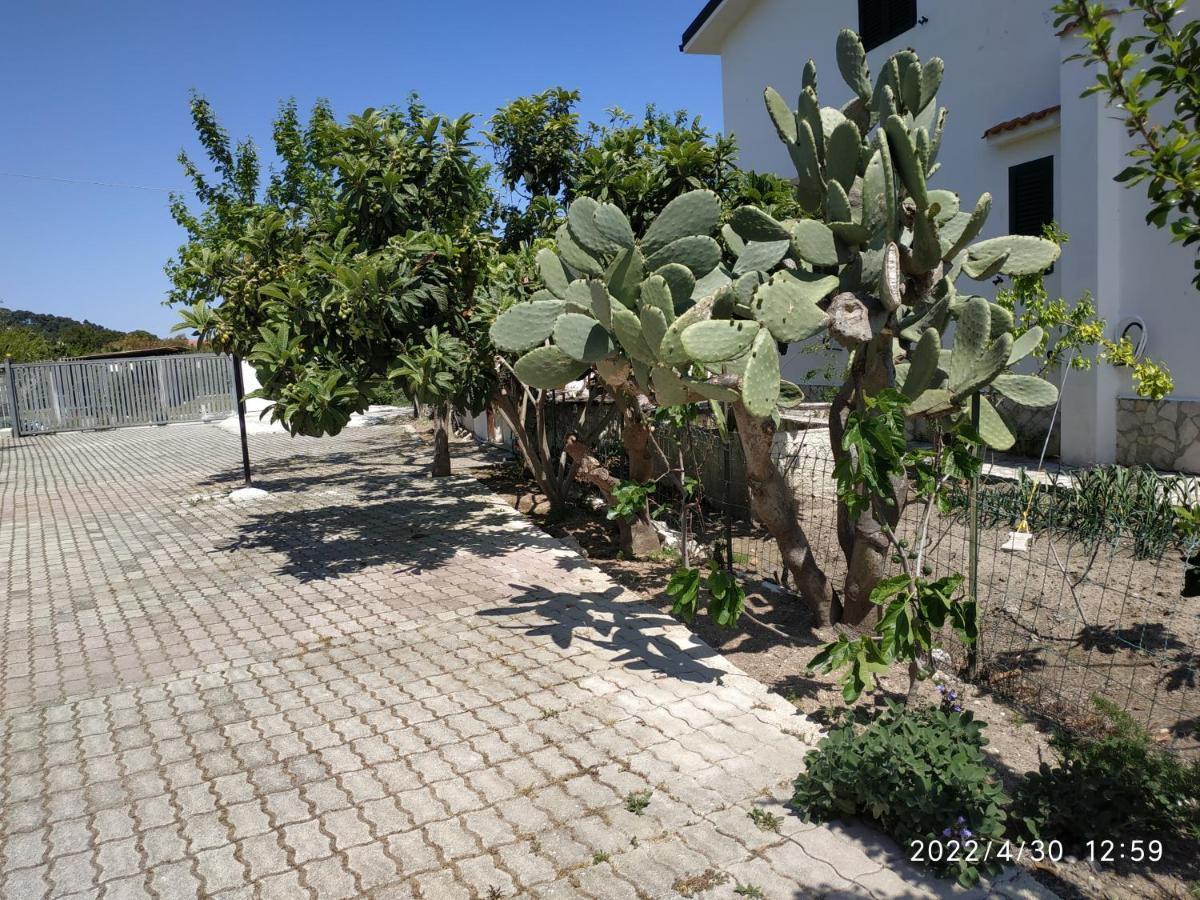 Villa Scialara Vieste Ngoại thất bức ảnh